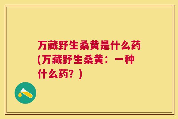 万藏野生桑黄是什么药(万藏野生桑黄:一种什么药?) 万藏野生桑黄是什么药(万藏野生桑黄:一种什么药?)