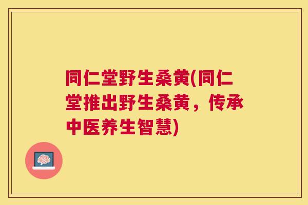 同仁堂野生桑黄(同仁堂推出野生桑黄,传承中医养生智慧) 同仁堂野生桑黄(同仁堂推出野生桑黄,传承中医养生智慧)