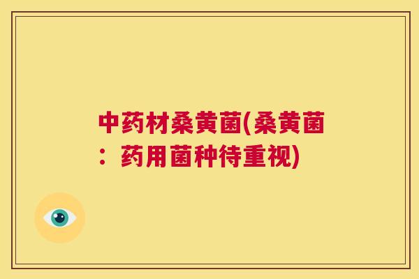材桑黄菌(桑黄菌:药用菌种待重视) 材桑黄菌(桑黄菌:药用菌种待重视)