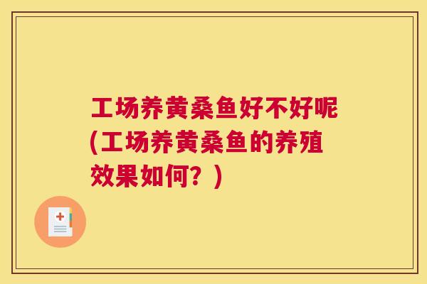 工场养黄桑鱼好不好呢(工场养黄桑鱼的养殖效果如何?) 工场养黄桑鱼好不好呢(工场养黄桑鱼的养殖效果如何?)