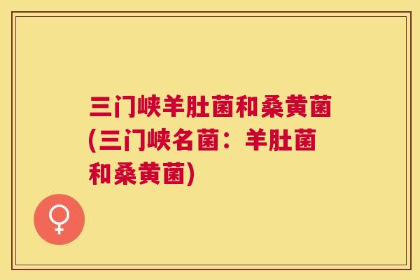 三门峡羊肚菌和桑黄菌(三门峡名菌:羊肚菌和桑黄菌) 三门峡羊肚菌和桑黄菌(三门峡名菌:羊肚菌和桑黄菌)