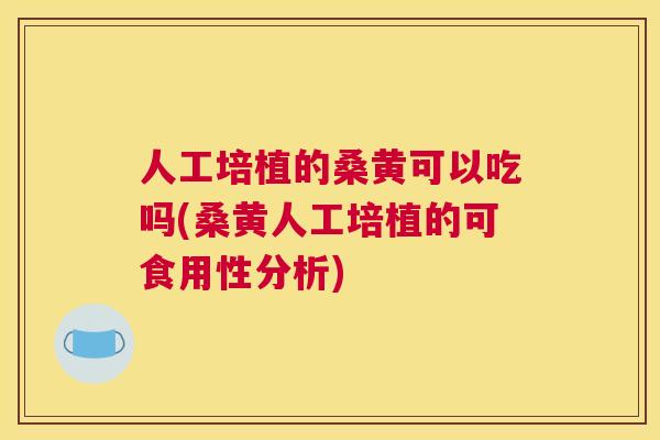 人工培植的桑黄可以吃吗(桑黄人工培植的可食用性分析) 人工培植的桑黄可以吃吗(桑黄人工培植的可食用性分析)