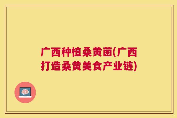 广西种植桑黄菌(广西打造桑黄美食产业链) 广西种植桑黄菌(广西打造桑黄美食产业链)