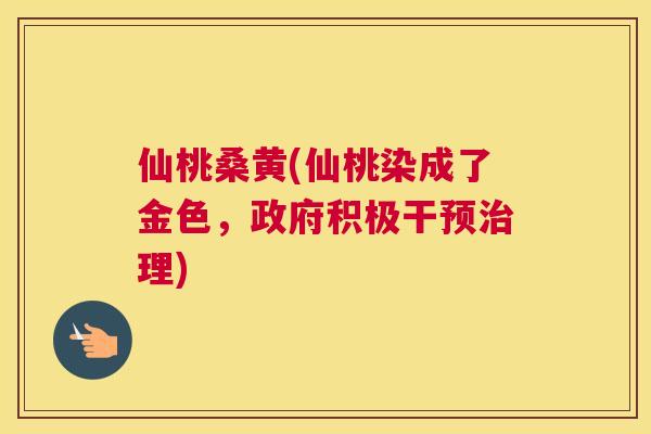 仙桃桑黄(仙桃染成了金色,政府积极干预理) 仙桃桑黄(仙桃染成了金色,政府积极干预理)