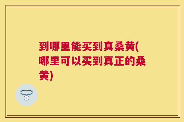 到哪里能买到真桑黄(哪里可以买到真正的桑黄) 到哪里能买到真桑黄(哪里可以买到真正的桑黄)