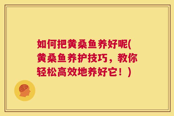 如何把黄桑鱼养好呢(黄桑鱼养护技巧,教你轻松高效地养好它!) 如何把黄桑鱼养好呢(黄桑鱼养护技巧,教你轻松高效地养好它!)