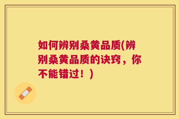 如何辨别桑黄品质(辨别桑黄品质的诀窍,你不能错过!) 如何辨别桑黄品质(辨别桑黄品质的诀窍,你不能错过!)
