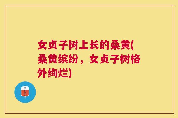 女贞子树上长的桑黄(桑黄缤纷，女贞子树格外绚烂)