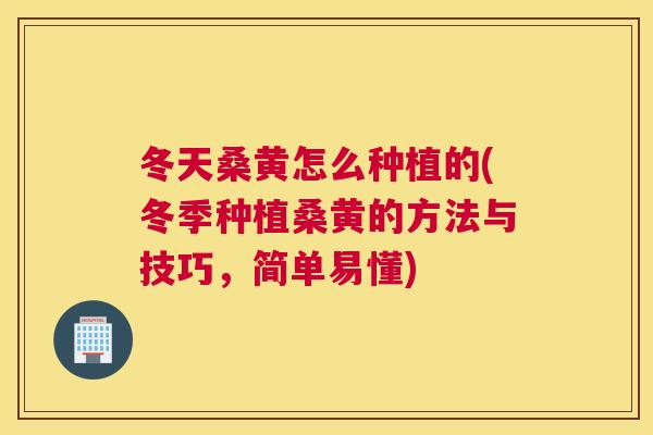 冬天桑黄怎么种植的(冬季种植桑黄的方法与技巧,简单易懂) 冬天桑黄怎么种植的(冬季种植桑黄的方法与技巧,简单易懂)