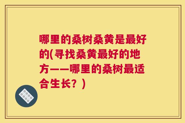 哪里的桑树桑黄是好的(寻找桑黄好的地方——哪里的桑树适合生长?) 哪里的桑树桑黄是好的(寻找桑黄好的地方——哪里的桑树适合生长?)
