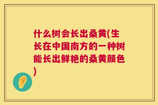什么树会长出桑黄(生长在中国南方的一种树能长出鲜艳的桑黄颜色) 什么树会长出桑黄(生长在中国南方的一种树能长出鲜艳的桑黄颜色)