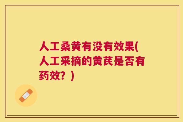 人工桑黄有没有效果(人工采摘的黄芪是否有?) 人工桑黄有没有效果(人工采摘的黄芪是否有?)