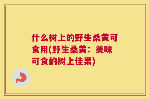 什么树上的野生桑黄可食用(野生桑黄:美味可食的树上佳果) 什么树上的野生桑黄可食用(野生桑黄:美味可食的树上佳果)