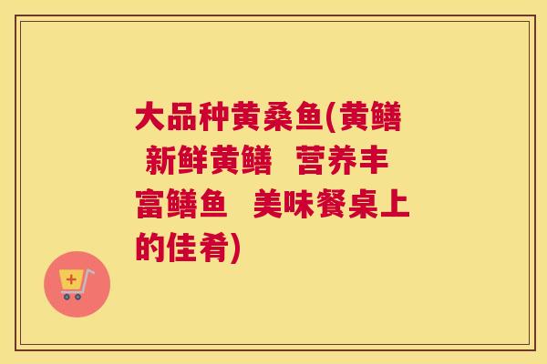 大品种黄桑鱼(黄鳝 新鲜黄鳝 营养丰富鳝鱼 美味餐桌上的佳肴) 大品种黄桑鱼(黄鳝 新鲜黄鳝 营养丰富鳝鱼 美味餐桌上的佳肴)