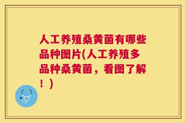 人工养殖桑黄菌有哪些品种图片(人工养殖多品种桑黄菌，看图了解！)