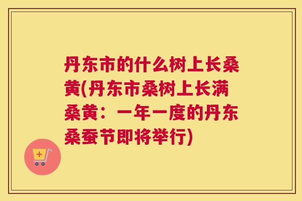 丹东市的什么树上长桑黄(丹东市桑树上长满桑黄:一年一度的丹东桑蚕节即将举行) 丹东市的什么树上长桑黄(丹东市桑树上长满桑黄:一年一度的丹东桑蚕节即将举行)