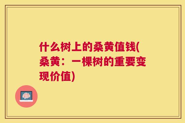 什么树上的桑黄值钱(桑黄:一棵树的重要变现价值) 什么树上的桑黄值钱(桑黄:一棵树的重要变现价值)