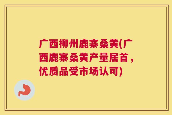 广西柳州鹿寨桑黄(广西鹿寨桑黄产量居首,优质品受市场认可) 广西柳州鹿寨桑黄(广西鹿寨桑黄产量居首,优质品受市场认可)