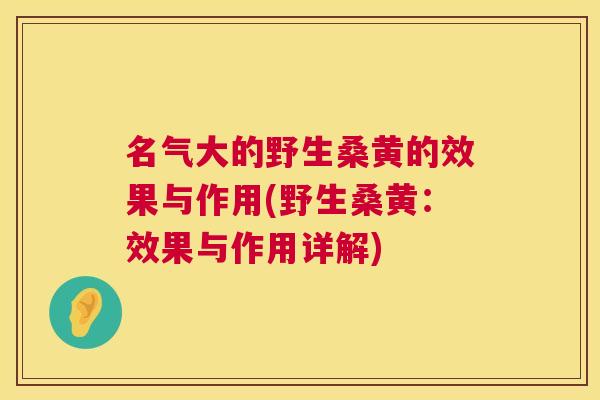名气大的野生桑黄的效果与作用(野生桑黄：效果与作用详解)