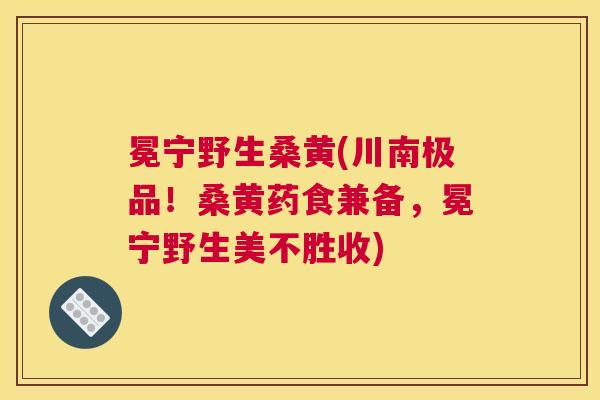 冕宁野生桑黄(川南极品!桑黄药食兼备,冕宁野生美不胜收) 冕宁野生桑黄(川南极品!桑黄药食兼备,冕宁野生美不胜收)