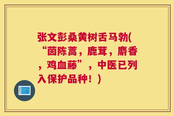 张文彭桑黄树舌马勃(“茵陈蒿,鹿茸,麝香,鸡藤”,中医已列入保护品种!) 张文彭桑黄树舌马勃(“茵陈蒿,鹿茸,麝香,鸡藤”,中医已列入保护品种!)