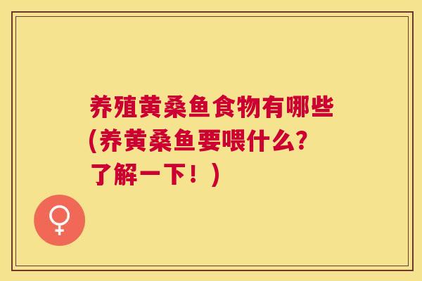 养殖黄桑鱼食物有哪些(养黄桑鱼要喂什么?了解一下!) 养殖黄桑鱼食物有哪些(养黄桑鱼要喂什么?了解一下!)