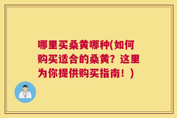 哪里买桑黄哪种(如何购买适合的桑黄?这里为你提供购买指南!) 哪里买桑黄哪种(如何购买适合的桑黄?这里为你提供购买指南!)