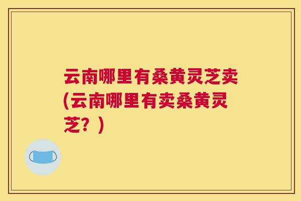 云南哪里有桑黄灵芝卖(云南哪里有卖桑黄灵芝?) 云南哪里有桑黄灵芝卖(云南哪里有卖桑黄灵芝?)