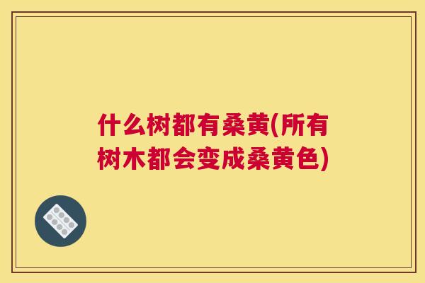 什么树都有桑黄(所有树木都会变成桑黄色) 什么树都有桑黄(所有树木都会变成桑黄色)