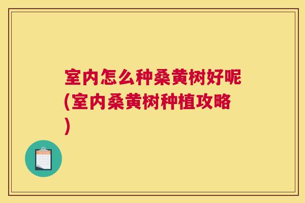 室内怎么种桑黄树好呢(室内桑黄树种植攻略) 室内怎么种桑黄树好呢(室内桑黄树种植攻略)
