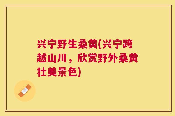 兴宁野生桑黄(兴宁跨越山川,欣赏野外桑黄壮美景色) 兴宁野生桑黄(兴宁跨越山川,欣赏野外桑黄壮美景色)
