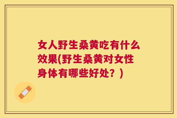 女人野生桑黄吃有什么效果(野生桑黄对女性身体有哪些好处？)