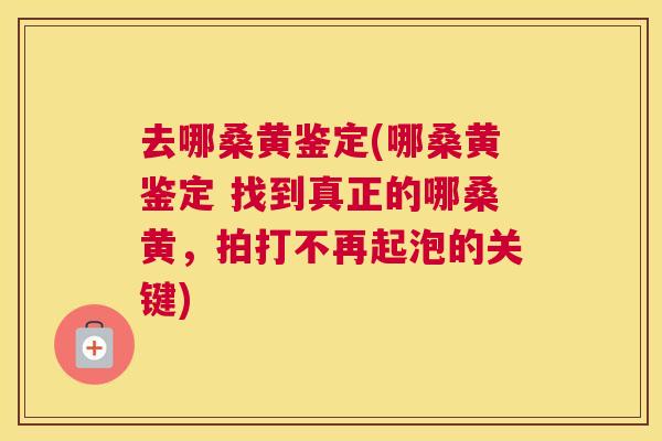 去哪桑黄鉴定(哪桑黄鉴定 找到真正的哪桑黄,拍打不再起泡的关键) 去哪桑黄鉴定(哪桑黄鉴定 找到真正的哪桑黄,拍打不再起泡的关键)