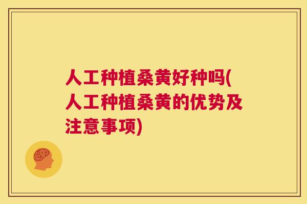 人工种植桑黄好种吗(人工种植桑黄的优势及注意事项) 人工种植桑黄好种吗(人工种植桑黄的优势及注意事项)