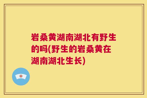 岩桑黄湖南湖北有野生的吗(野生的岩桑黄在湖南湖北生长)