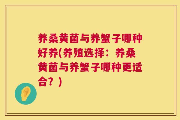养桑黄菌与养蟹子哪种好养(养殖选择:养桑黄菌与养蟹子哪种更适合?) 养桑黄菌与养蟹子哪种好养(养殖选择:养桑黄菌与养蟹子哪种更适合?)
