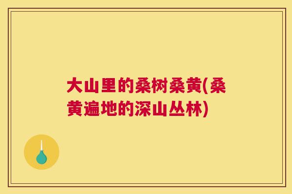 大山里的桑树桑黄(桑黄遍地的深山丛林) 大山里的桑树桑黄(桑黄遍地的深山丛林)