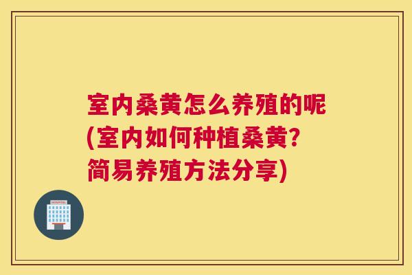 室内桑黄怎么养殖的呢(室内如何种植桑黄?简易养殖方法分享) 室内桑黄怎么养殖的呢(室内如何种植桑黄?简易养殖方法分享)