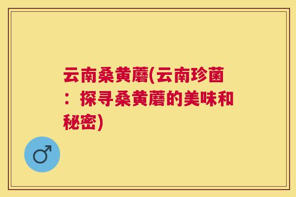 云南桑黄蘑(云南珍菌:探寻桑黄蘑的美味和秘密) 云南桑黄蘑(云南珍菌:探寻桑黄蘑的美味和秘密)