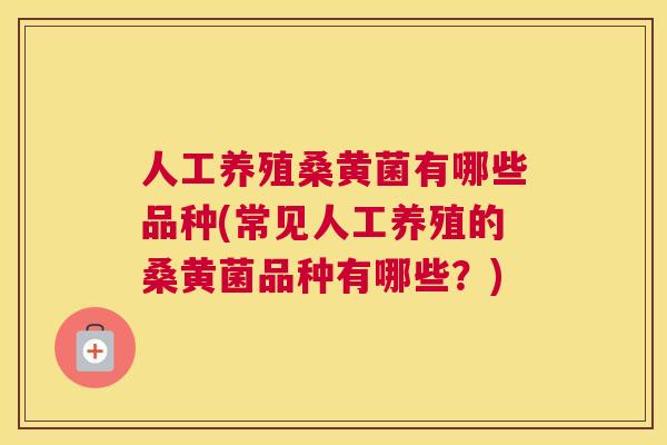人工养殖桑黄菌有哪些品种(常见人工养殖的桑黄菌品种有哪些?) 人工养殖桑黄菌有哪些品种(常见人工养殖的桑黄菌品种有哪些?)