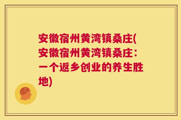 安徽宿州黄湾镇桑庄(安徽宿州黄湾镇桑庄:一个返乡创业的养生胜地) 安徽宿州黄湾镇桑庄(安徽宿州黄湾镇桑庄:一个返乡创业的养生胜地)