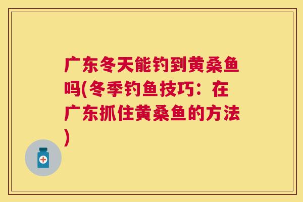 广东冬天能钓到黄桑鱼吗(冬季钓鱼技巧:在广东抓住黄桑鱼的方法) 广东冬天能钓到黄桑鱼吗(冬季钓鱼技巧:在广东抓住黄桑鱼的方法)