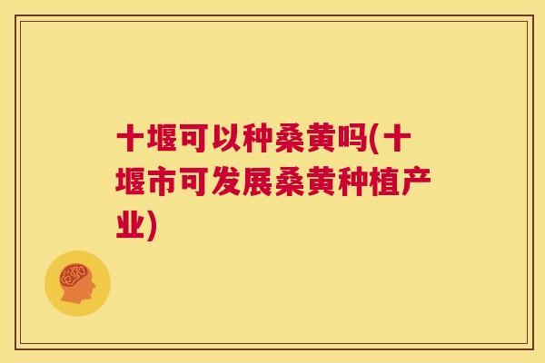 十堰可以种桑黄吗(十堰市可发展桑黄种植产业) 十堰可以种桑黄吗(十堰市可发展桑黄种植产业)