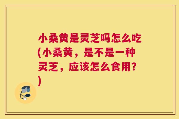 小桑黄是灵芝吗怎么吃(小桑黄,是不是一种灵芝,应该怎么食用?) 小桑黄是灵芝吗怎么吃(小桑黄,是不是一种灵芝,应该怎么食用?)
