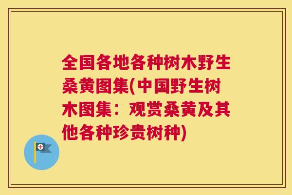 全国各地各种树木野生桑黄图集(中国野生树木图集:观赏桑黄及其他各种珍贵树种) 全国各地各种树木野生桑黄图集(中国野生树木图集:观赏桑黄及其他各种珍贵树种)