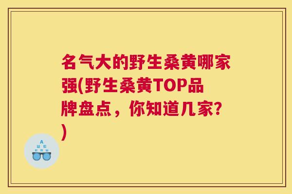 名气大的野生桑黄哪家强(野生桑黄TOP品牌盘点,你知道几家?) 名气大的野生桑黄哪家强(野生桑黄TOP品牌盘点,你知道几家?)