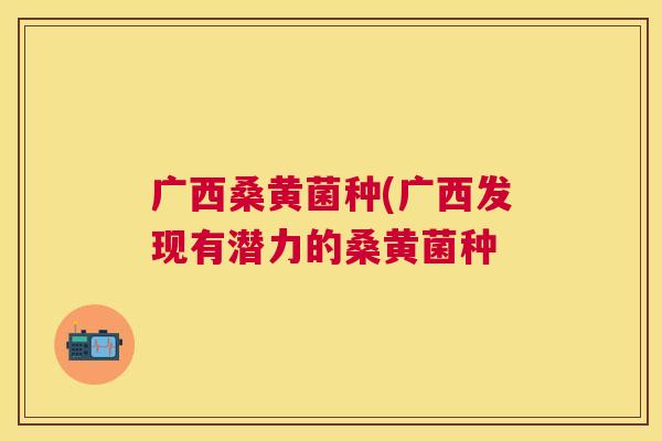 广西桑黄菌种(广西发现有潜力的桑黄菌种 广西桑黄菌种(广西发现有潜力的桑黄菌种