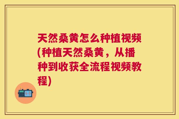天然桑黄怎么种植视频(种植天然桑黄,从播种到收获全流程视频教程) 天然桑黄怎么种植视频(种植天然桑黄,从播种到收获全流程视频教程)