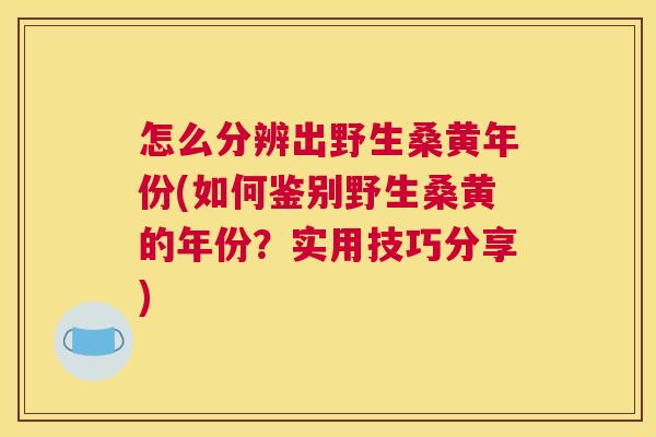 怎么分辨出野生桑黄年份(如何鉴别野生桑黄的年份?实用技巧分享) 怎么分辨出野生桑黄年份(如何鉴别野生桑黄的年份?实用技巧分享)