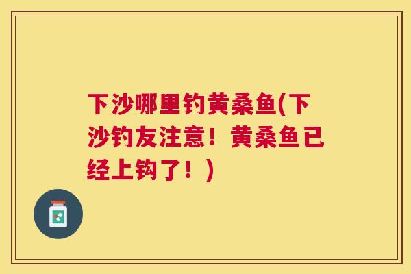 下沙哪里钓黄桑鱼(下沙钓友注意!黄桑鱼已经上钩了!) 下沙哪里钓黄桑鱼(下沙钓友注意!黄桑鱼已经上钩了!)